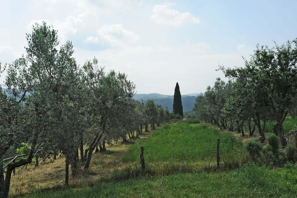 Borgo Rapale Villa Buitenkant foto